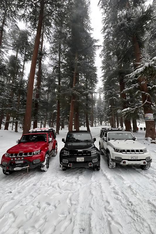 Mean Machines Club